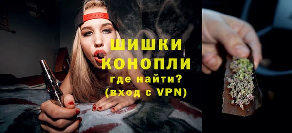 хмурый Бердск