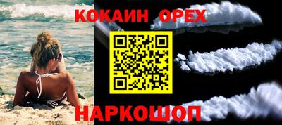 гидра Гагарин