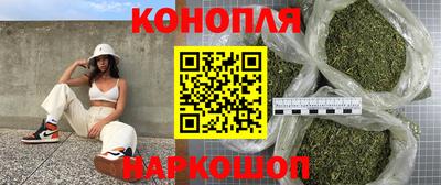 гидра Гагарин