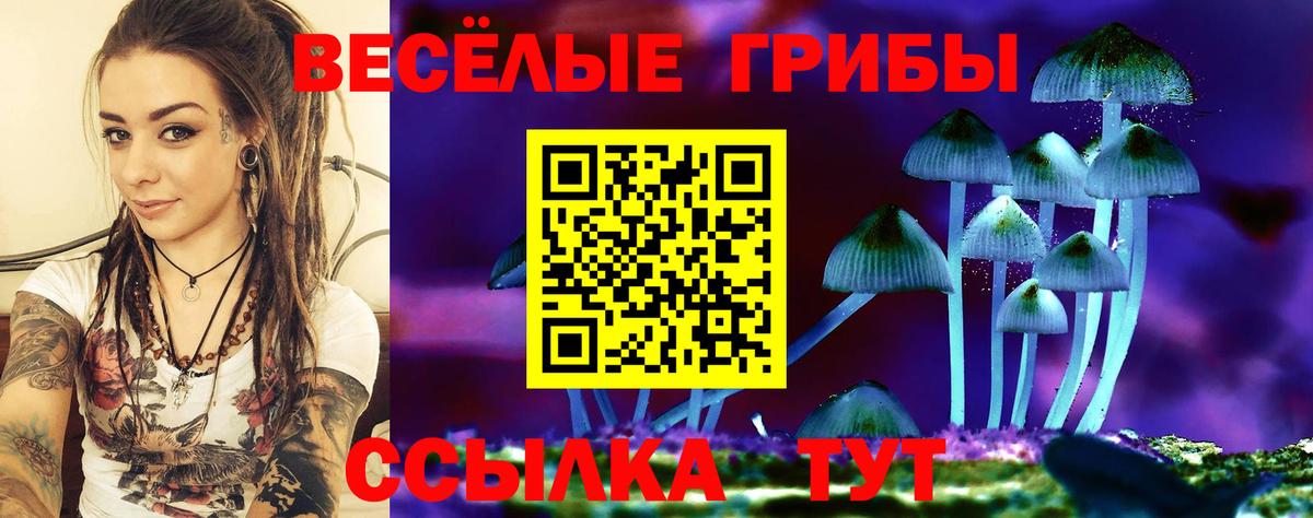 Каспийск  Псилоцибиновые грибы GOLDEN TEACHER  Вход с VPN 