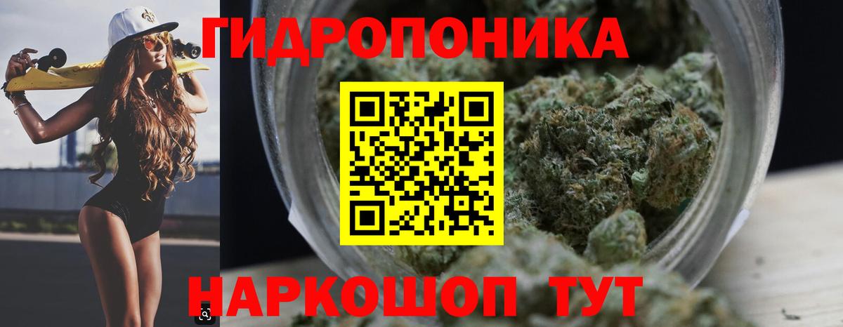 Бошки марихуана планчик Каспийск
